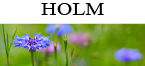 Holm
